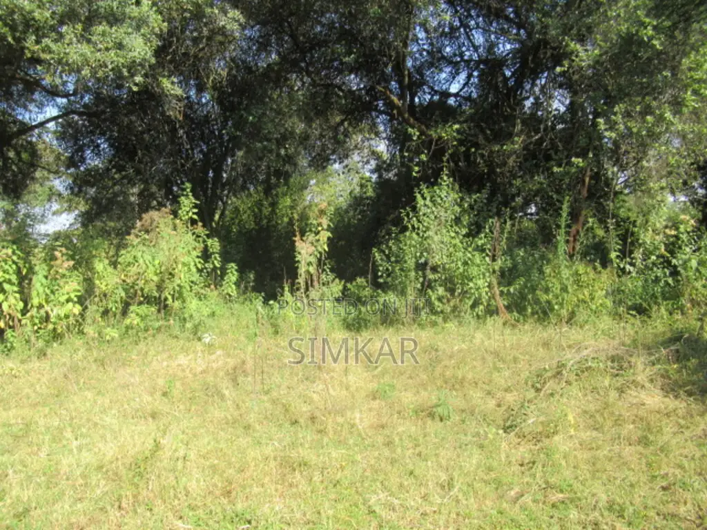 9 Acres of Land for Sale in Karen Hardy