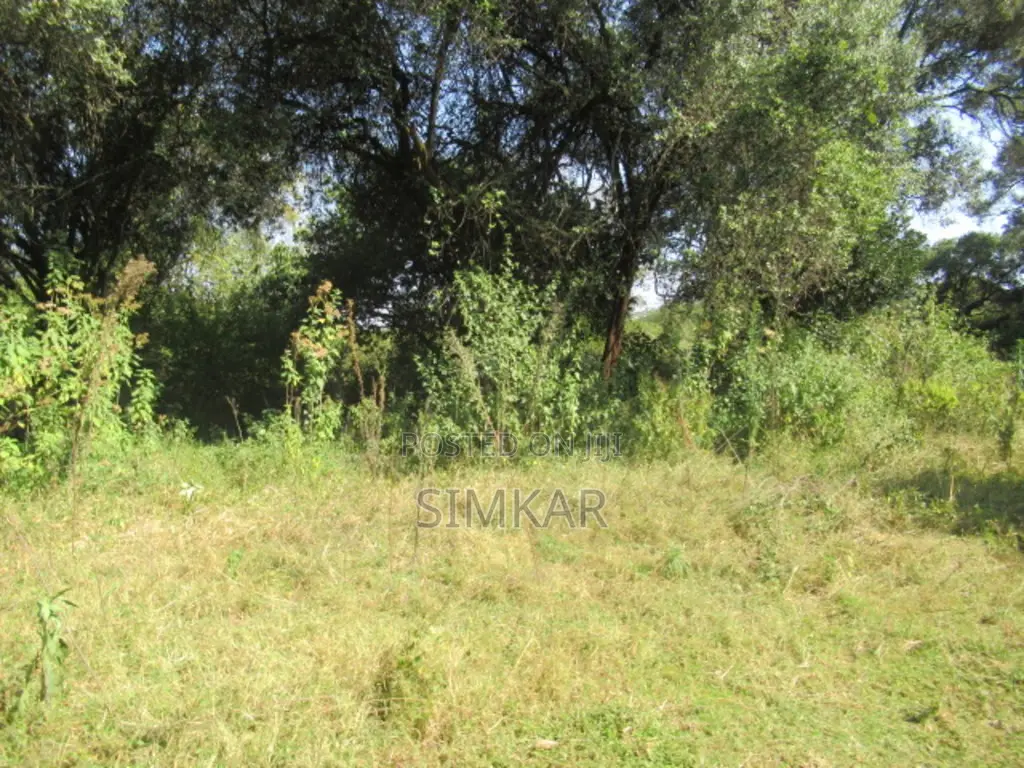 9 Acres of Land for Sale in Karen Hardy