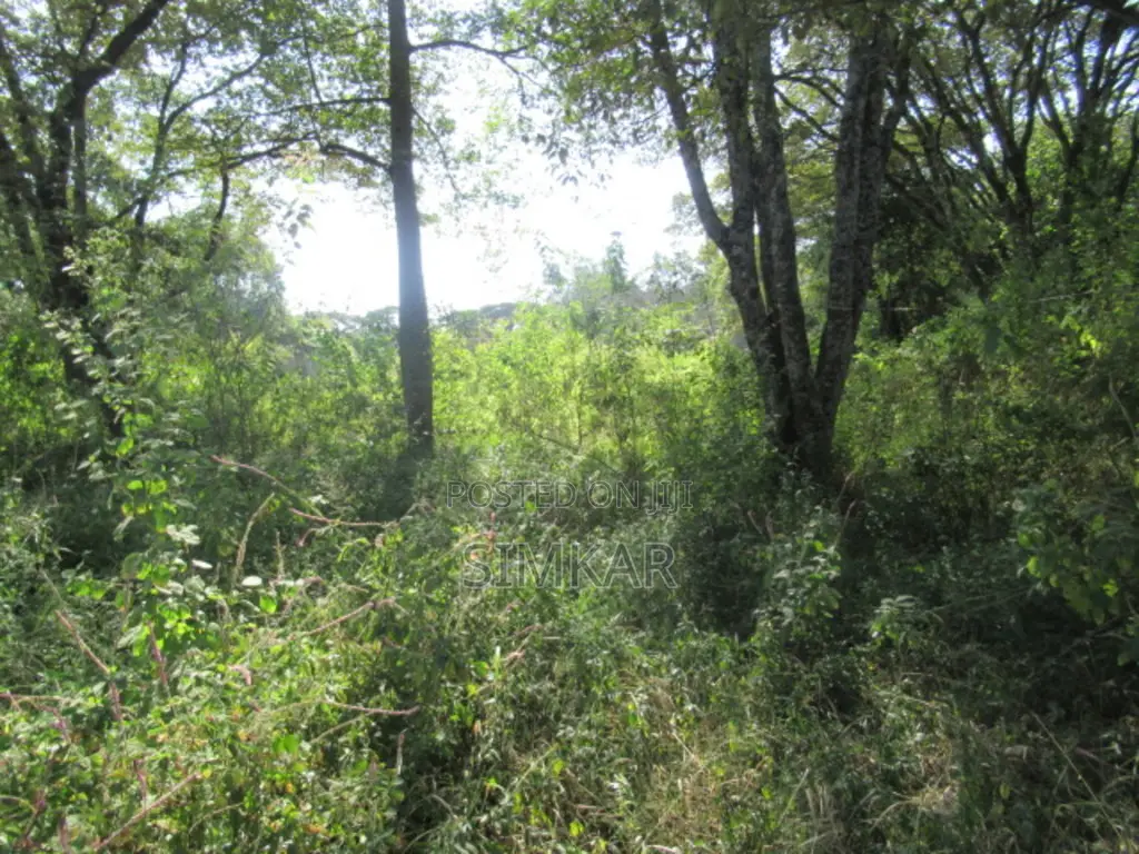 9 Acres of Land for Sale in Karen Hardy
