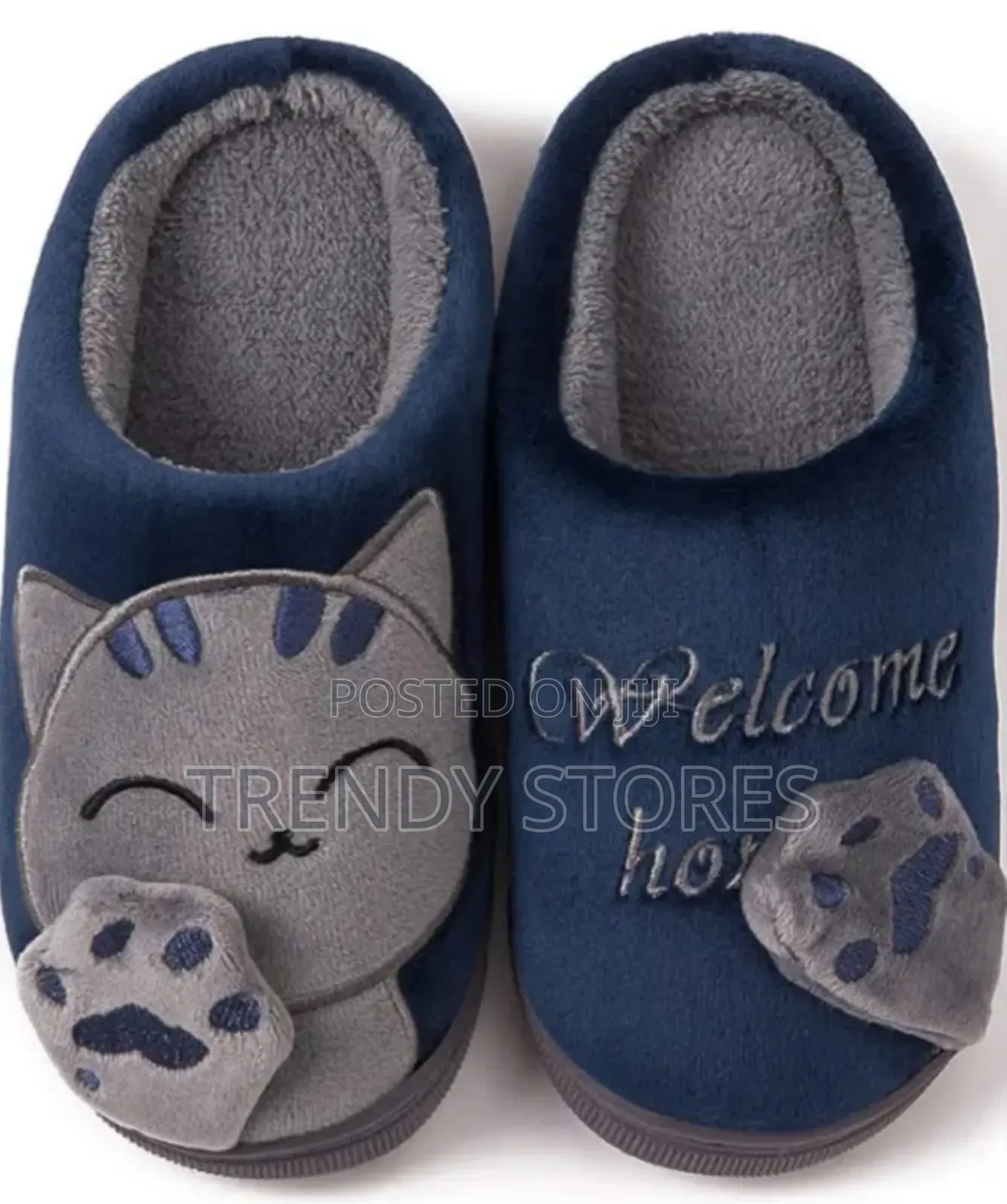 Indoor Shoes