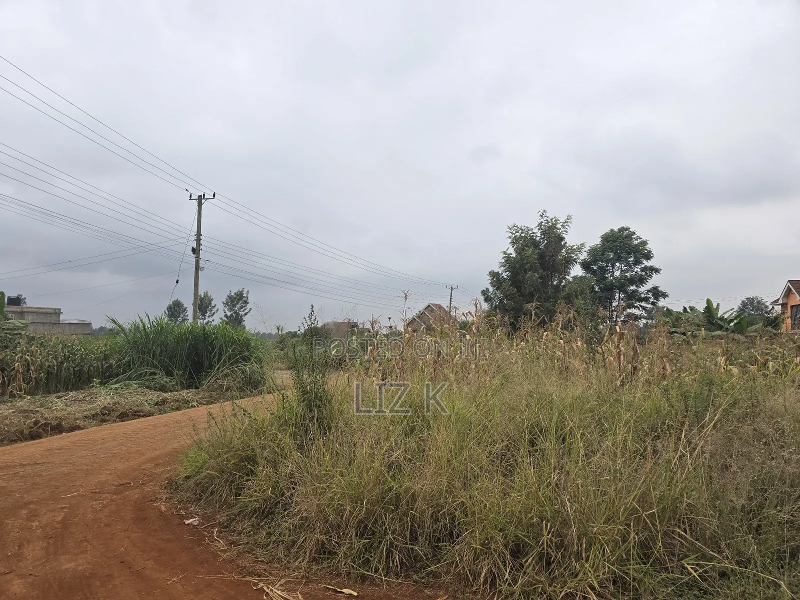 Dam Ridge Mugutha 50x100 Plots