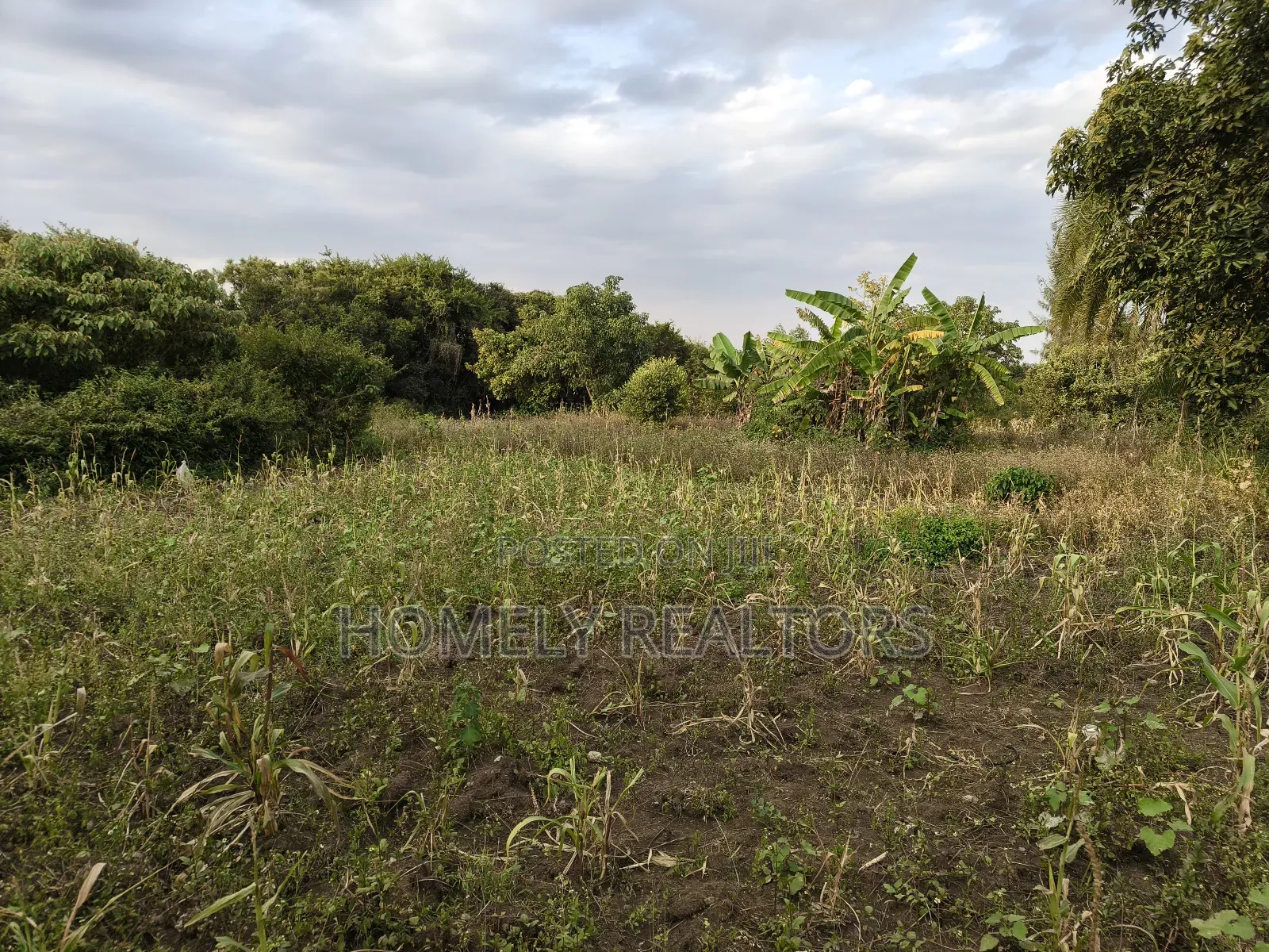 One Acre Piece of Land in Ngong, Olkeri Good Location