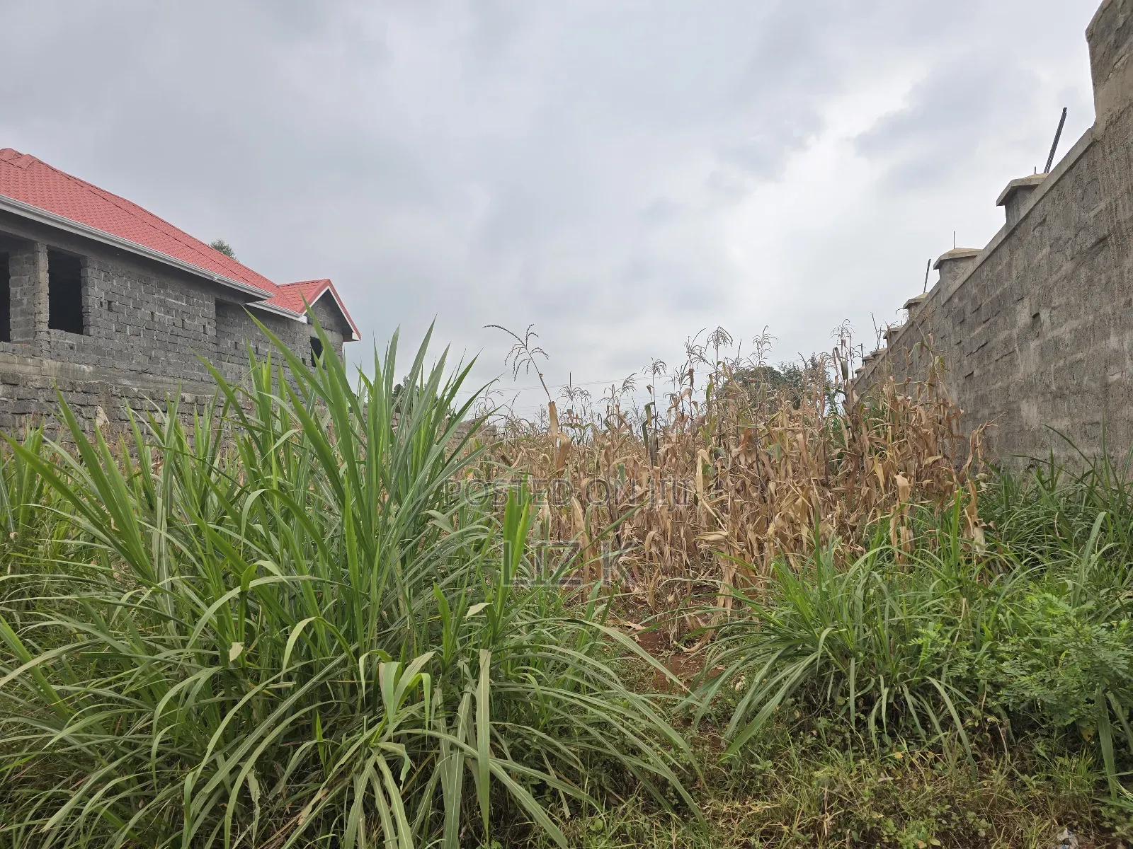 100x100 Redsoil Plots in Mugutha