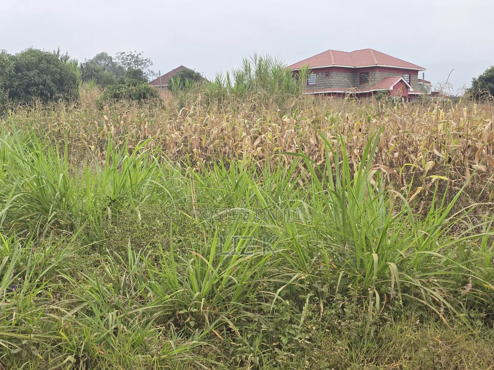 100x100 Redsoil Plots in Mugutha