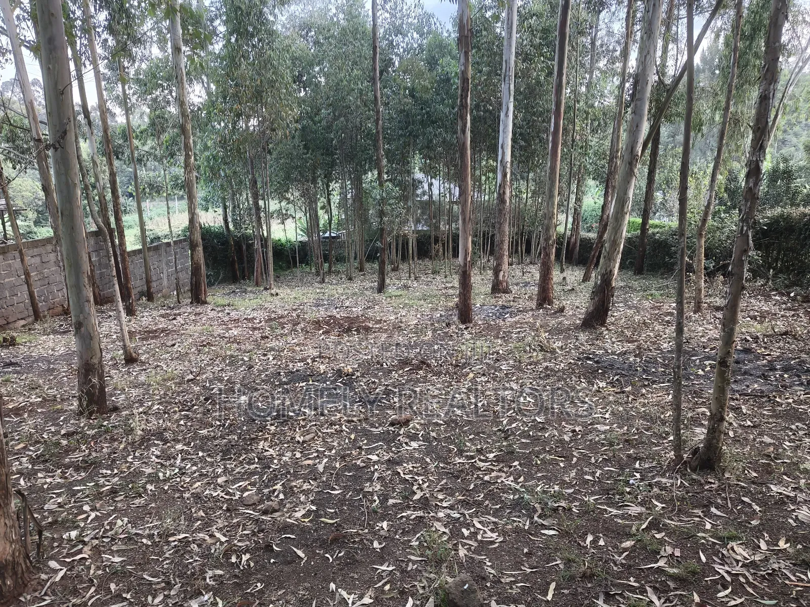 Prime Quarter Acre Plot in Ngong Touching Kahara Main Road