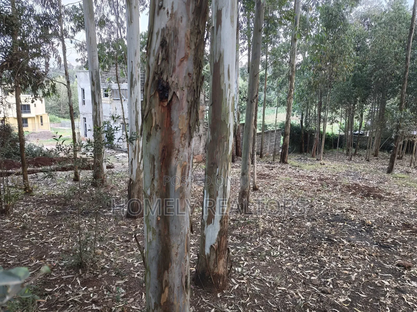 Prime Quarter Acre Plot in Ngong Touching Kahara Main Road