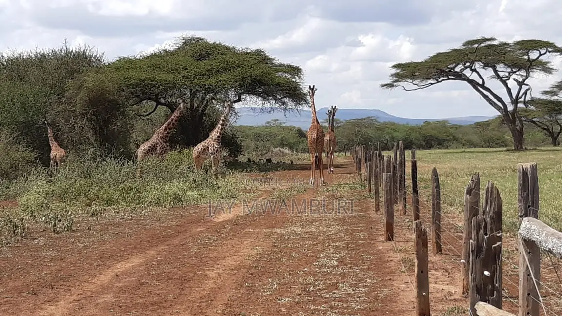 534 Acres Ranch Kajiado