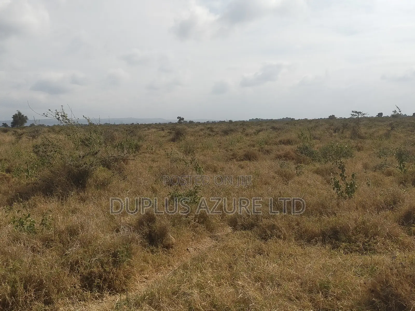 4 Acres in Kajiado-Ildamat