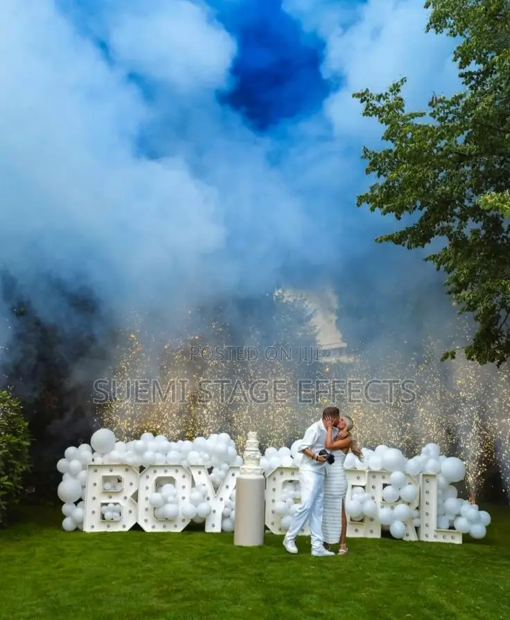 Boy or Girl? Gender Reveal Package Available