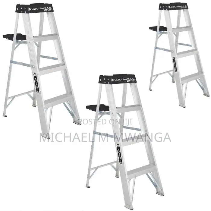 Sturdy 4-Step Aluminum Ladder