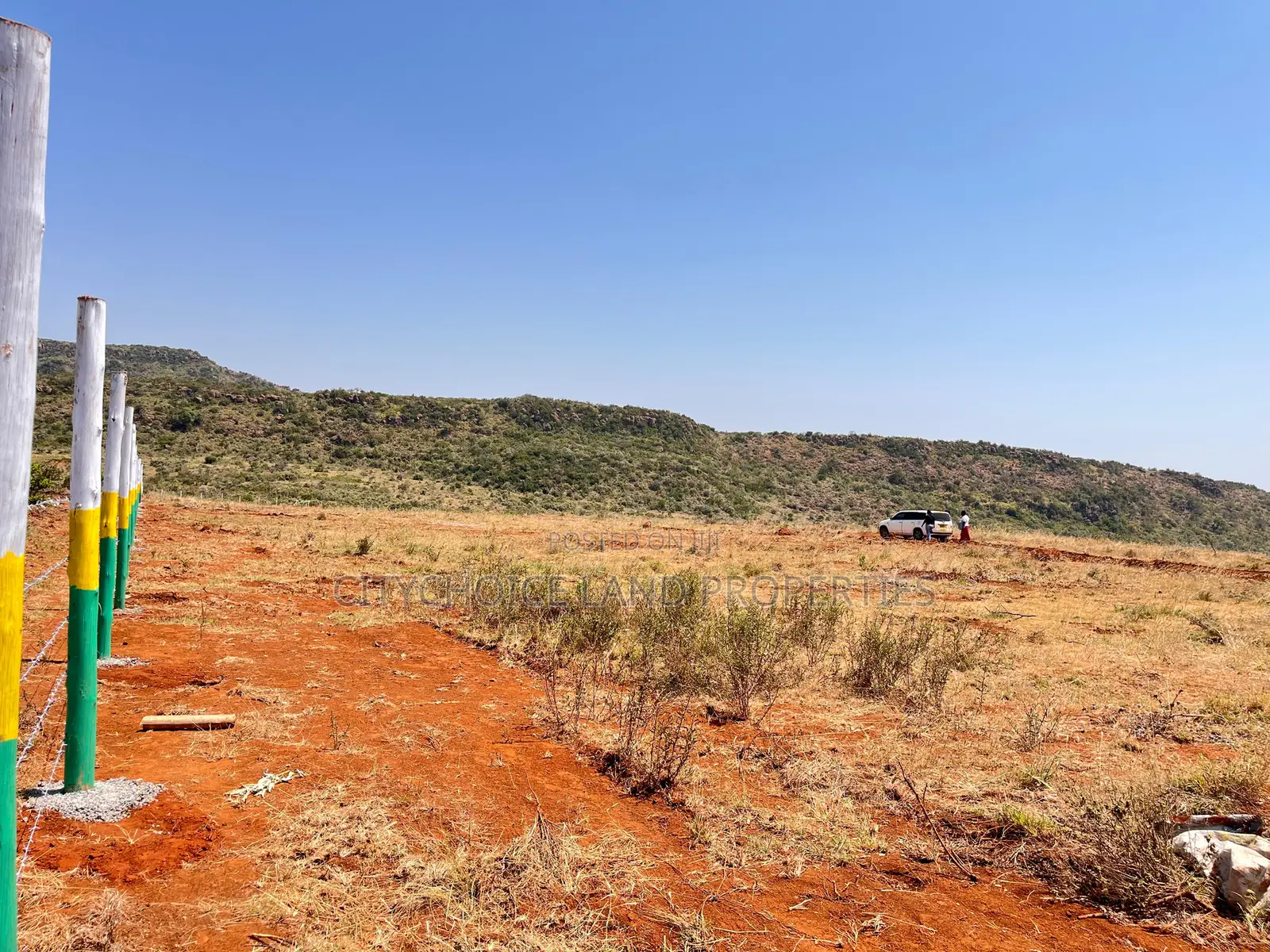 New 50x100ft Project Alert - Nachu Kikuyu