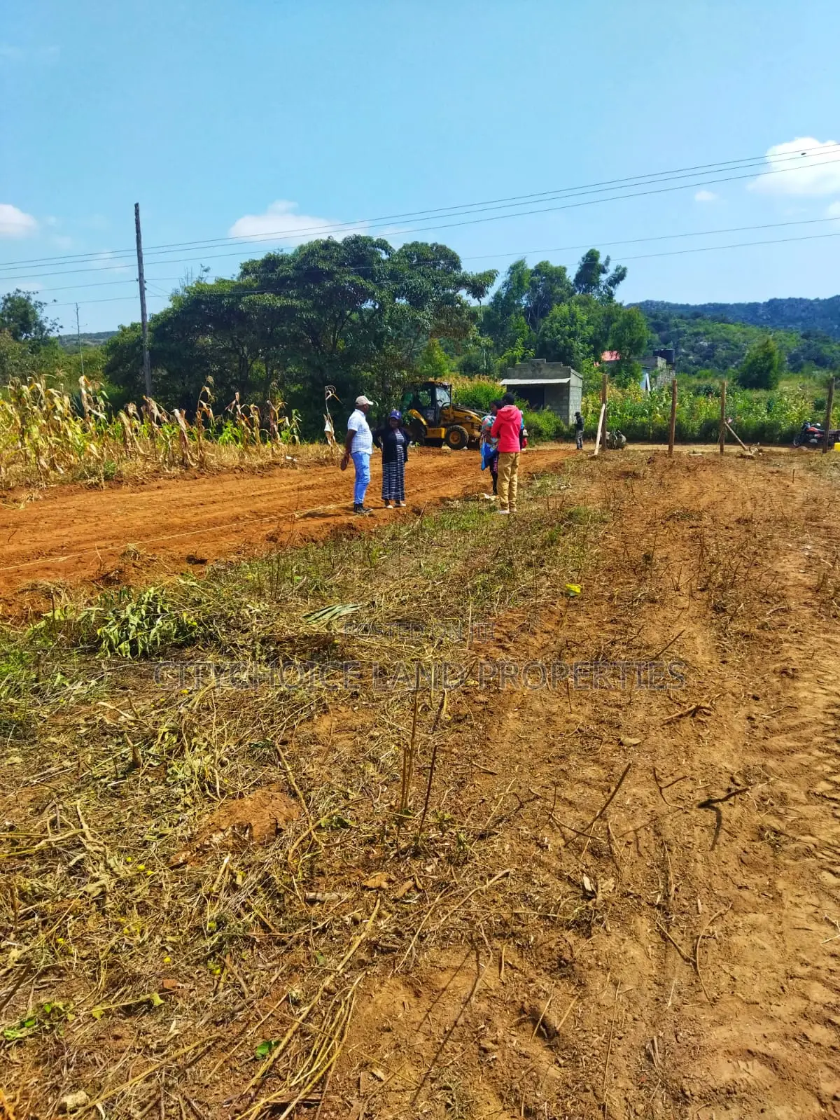 Kikuyu Nachu Mbomboini Plots – Ready for You