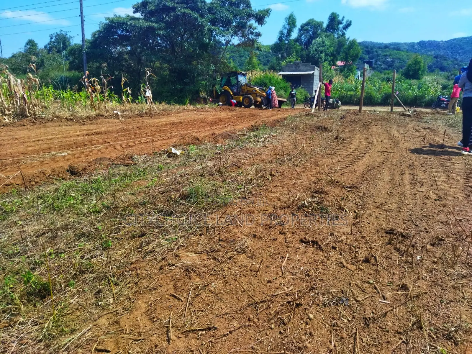 Kikuyu Nachu Mbomboini Plots – Ready for You