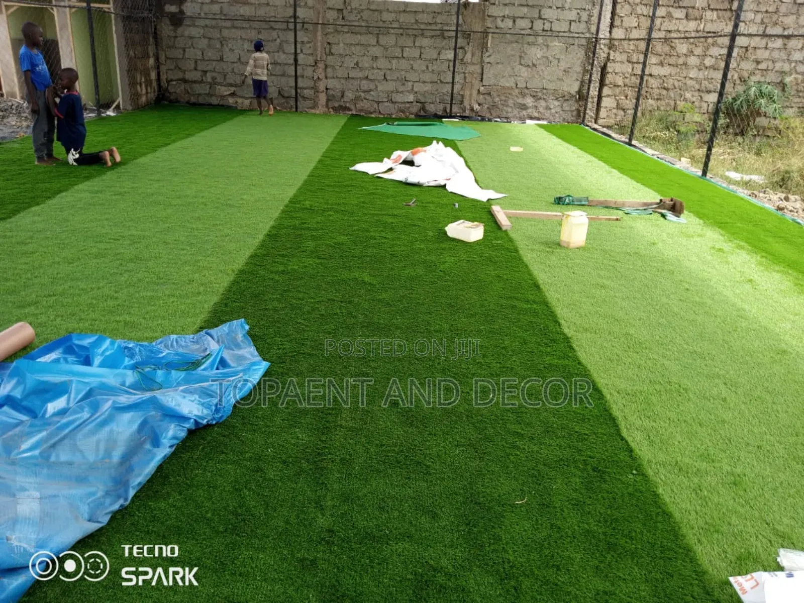 Evergreen Compound With Grass Carpet No Water Needed