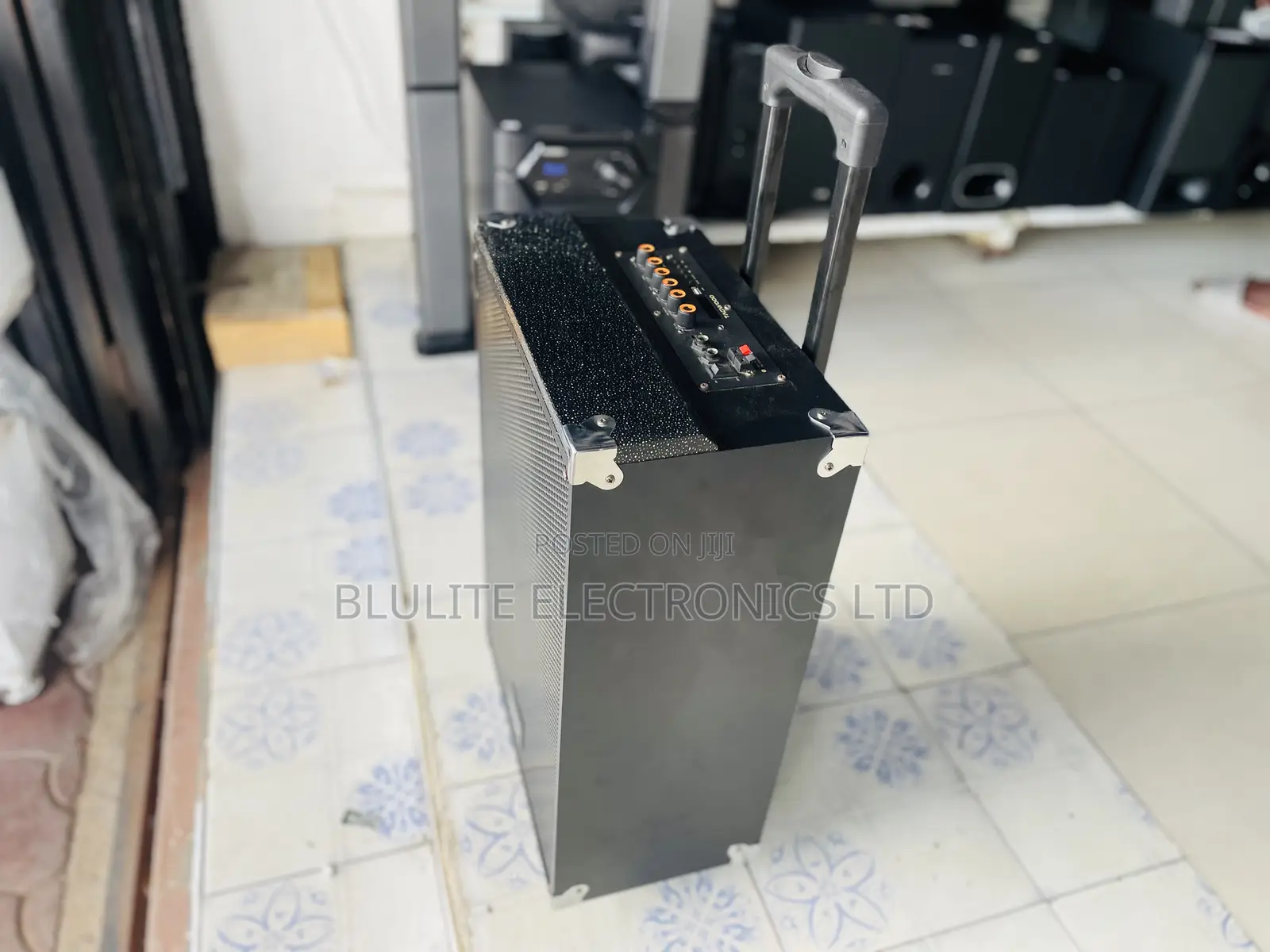 Tagwood 12” Reachargeable Speaker