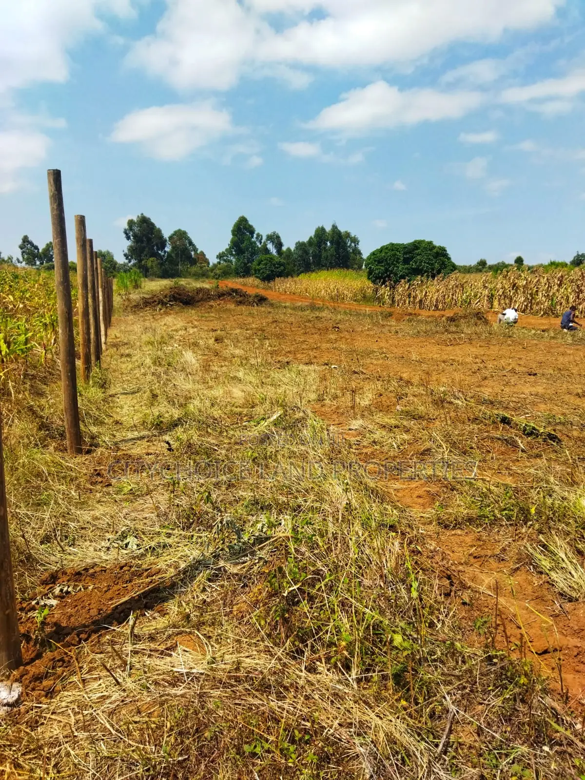 Mbomboini Prime 50x100 Residential Land