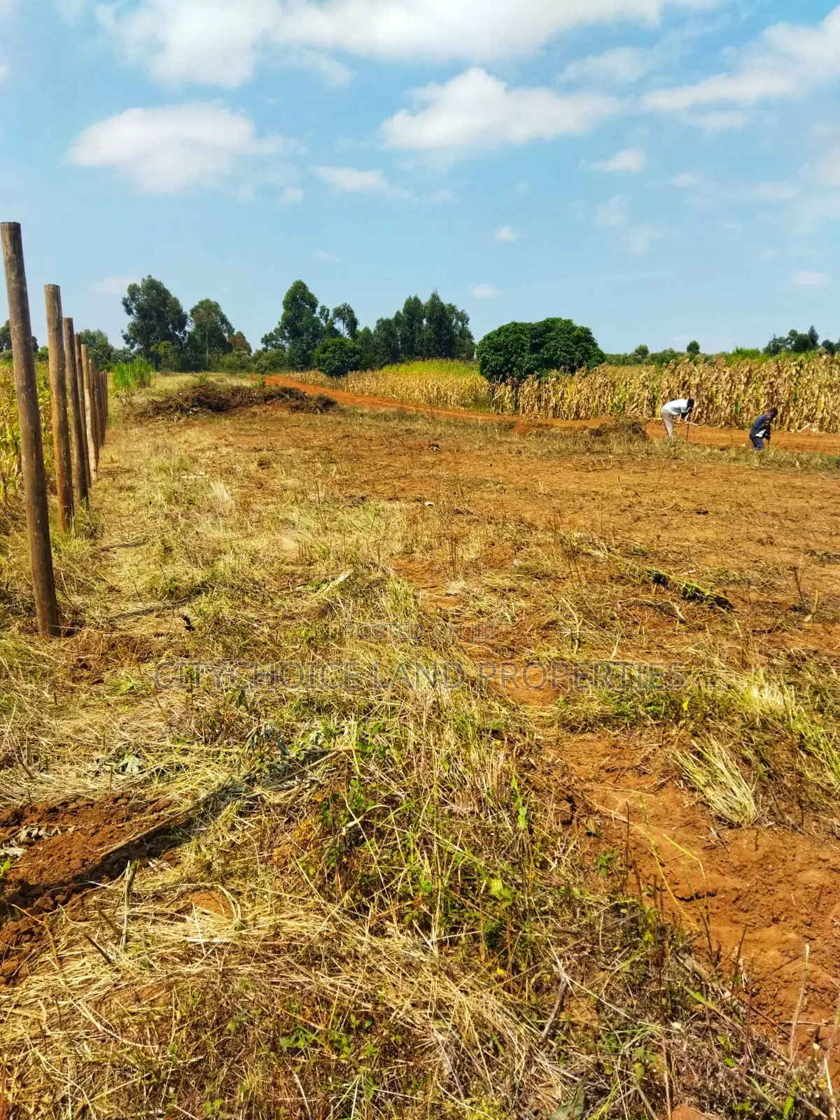 Mbomboini Prime 50x100 Residential Land