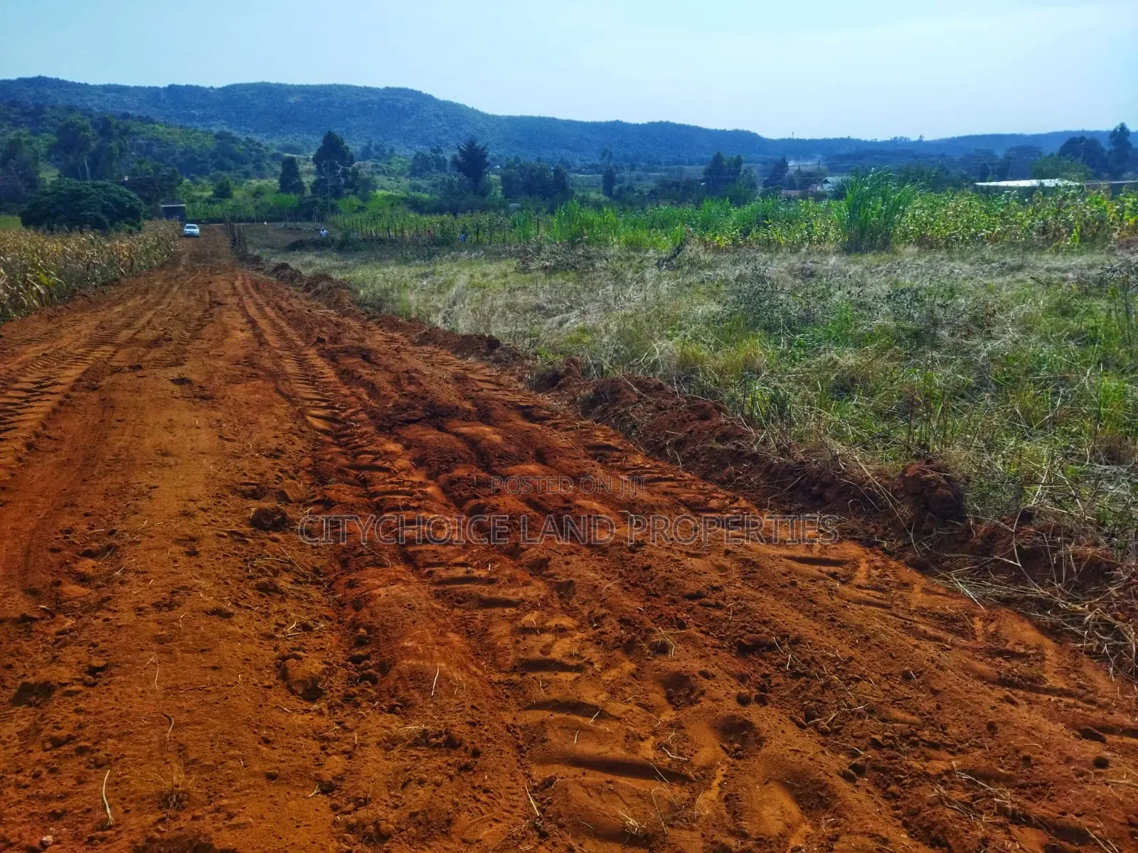 Own 50x100ft in Nachu – Deposit KSH Today!