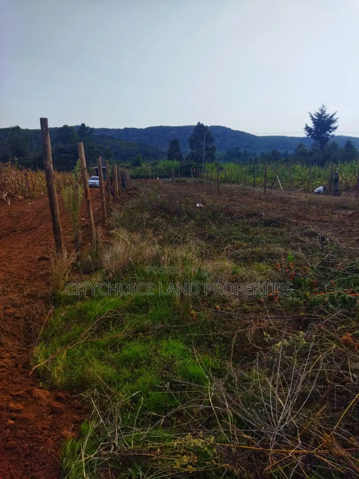 Own 50x100ft in Nachu – Deposit KSH Today!