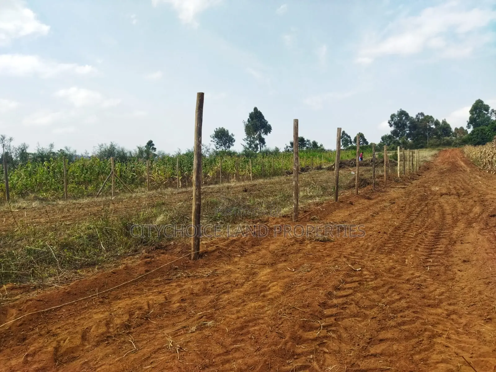Build in Nachu! 50x100ft Plots – Water Power on-Site