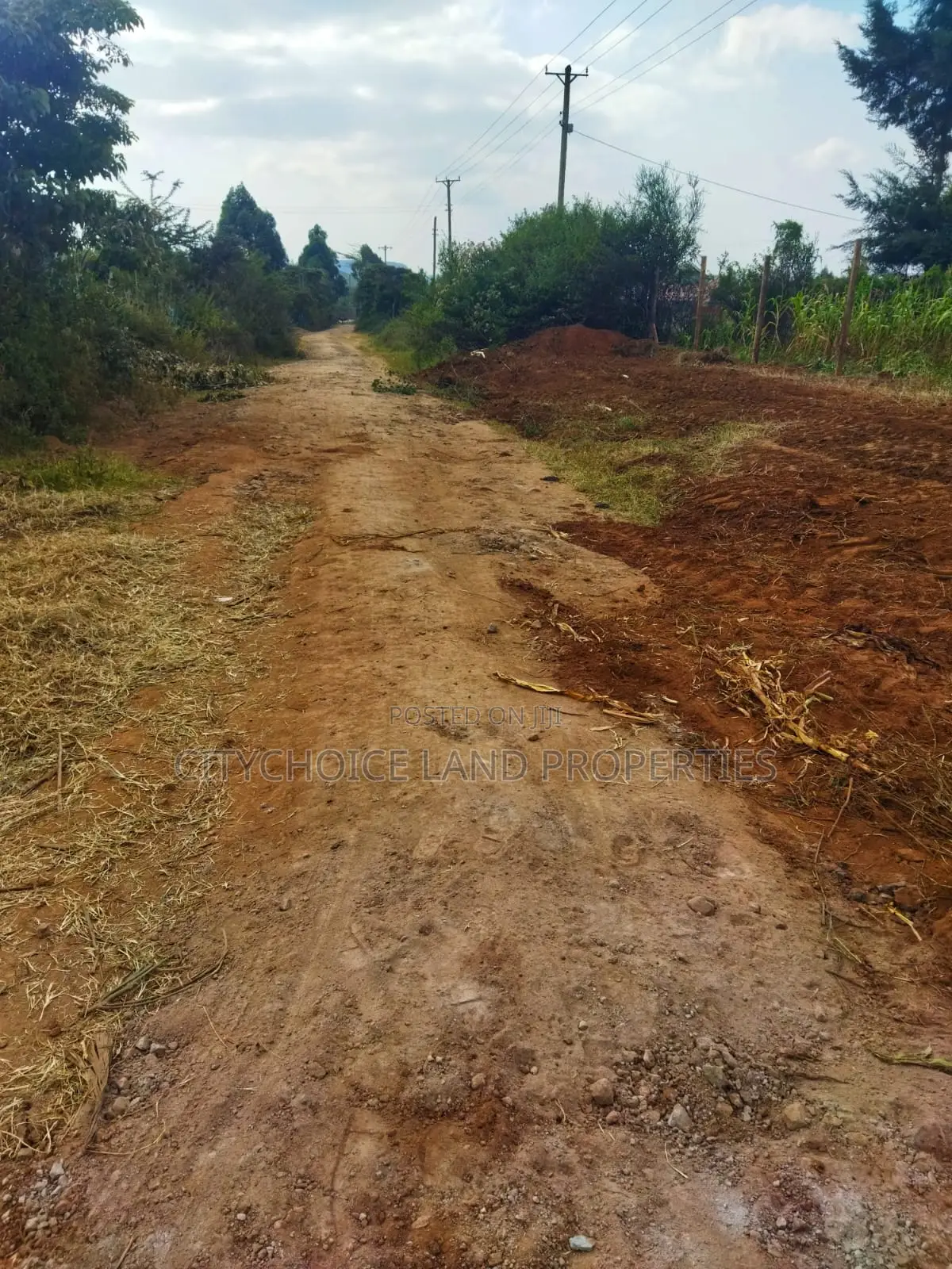 Affordable 50x100 Land in Nachu Mbomboini – Ready Title Deed