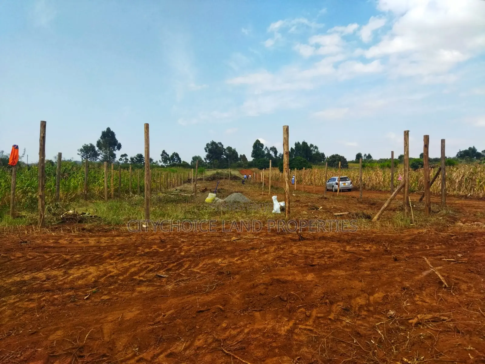 Affordable 50x100 Land in Nachu Mbomboini – Ready Title Deed