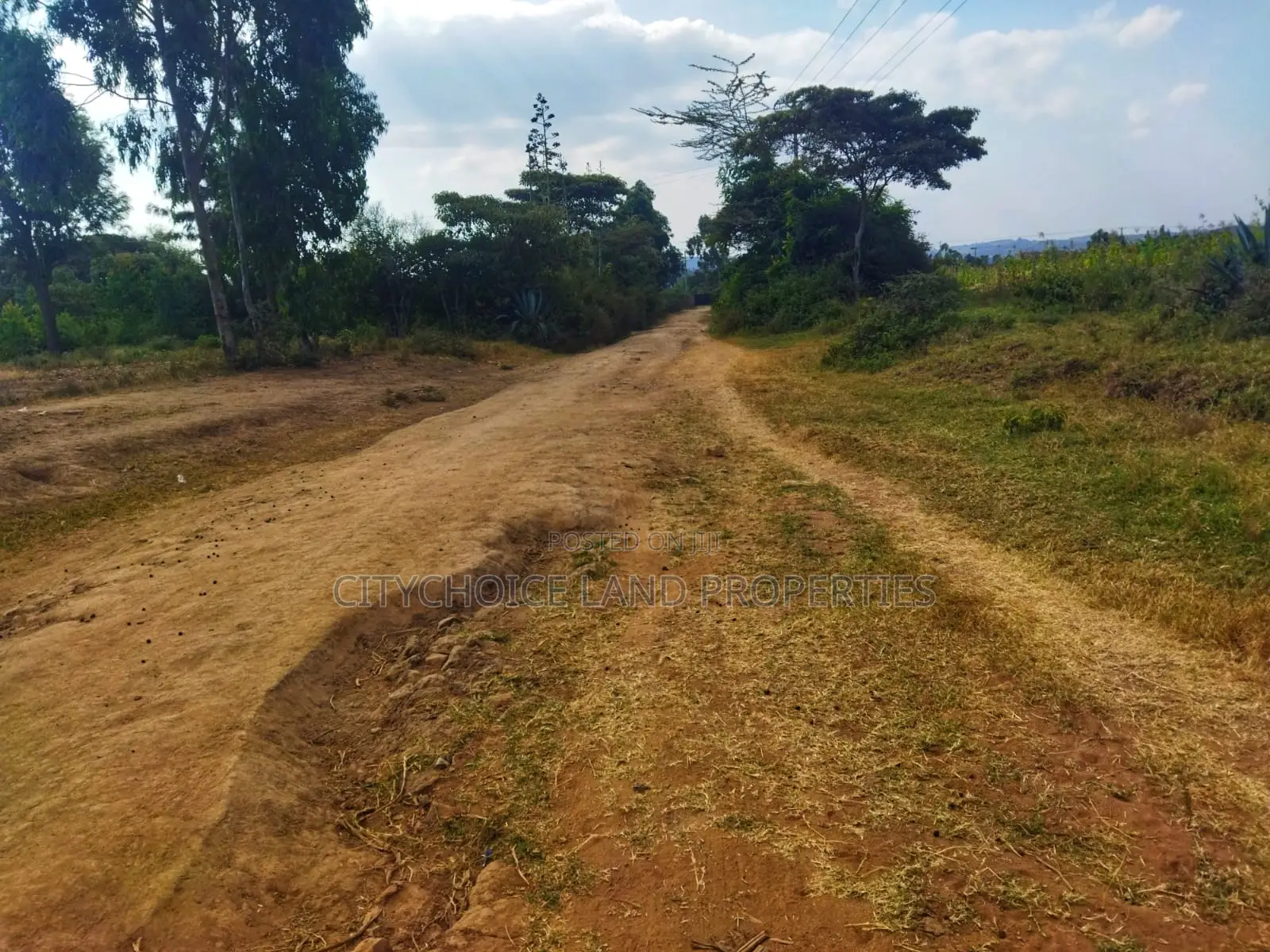 Affordable 50x100 Land in Nachu Mbomboini – Ready Title Deed