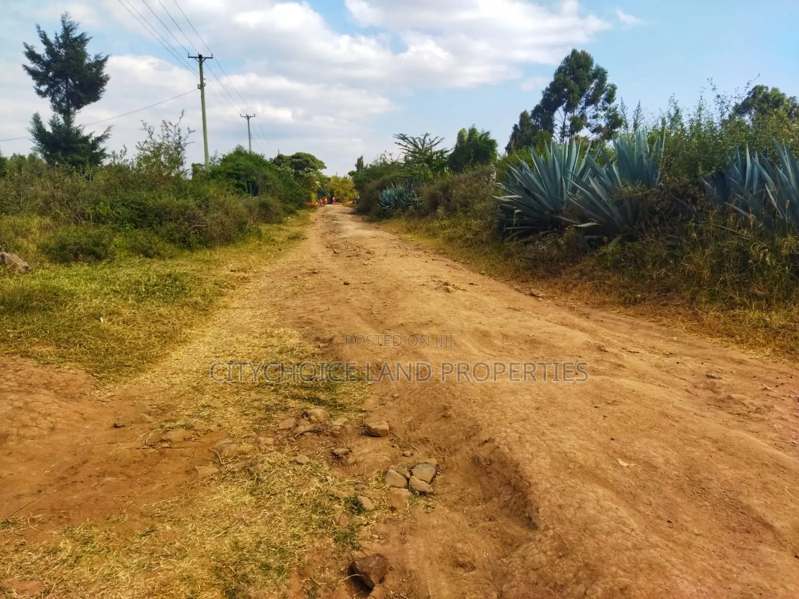 Affordable 50x100 Land in Nachu Mbomboini – Ready Title Deed