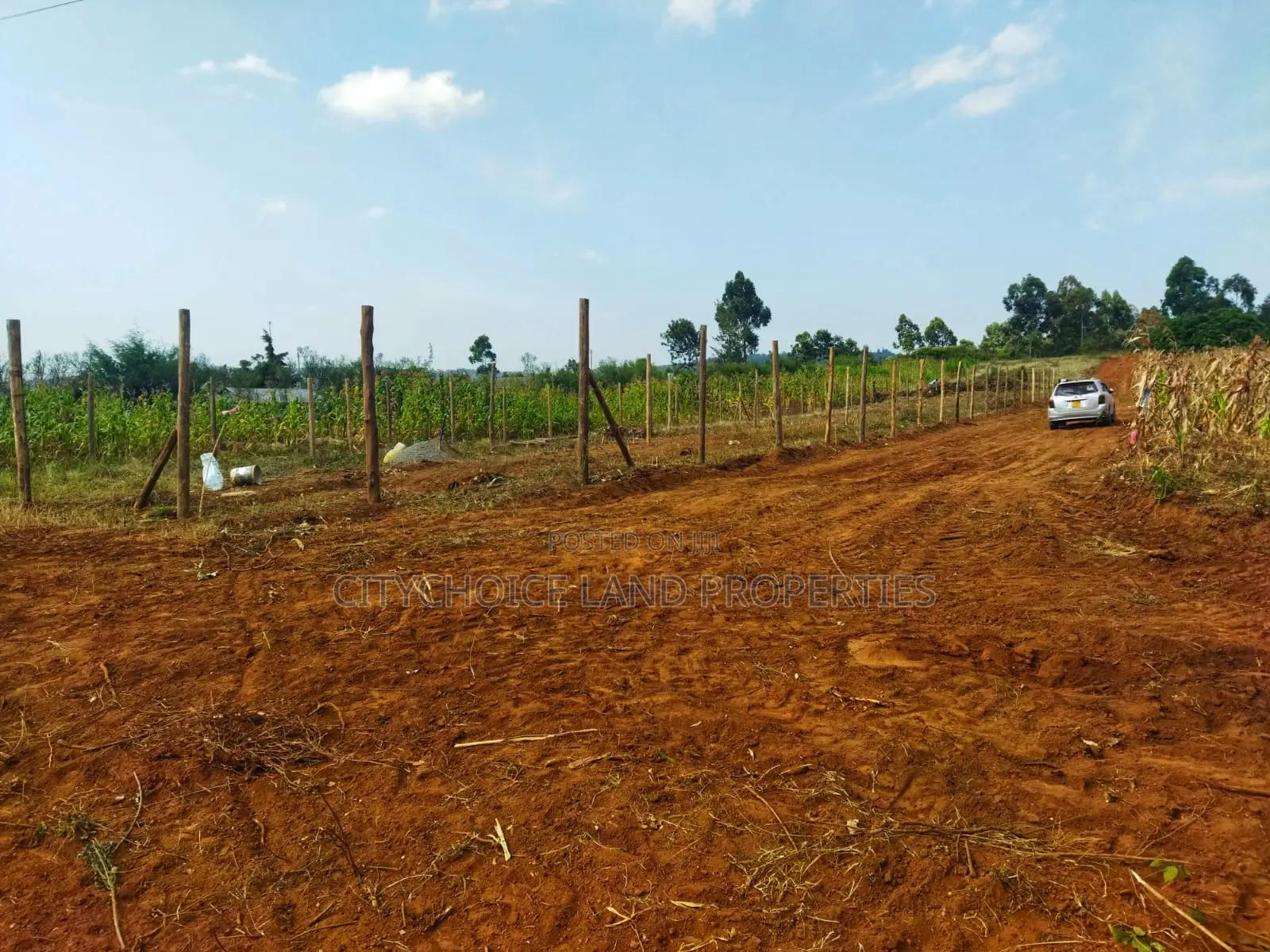 Invest in Nachu! Own 50x100 Land From Just