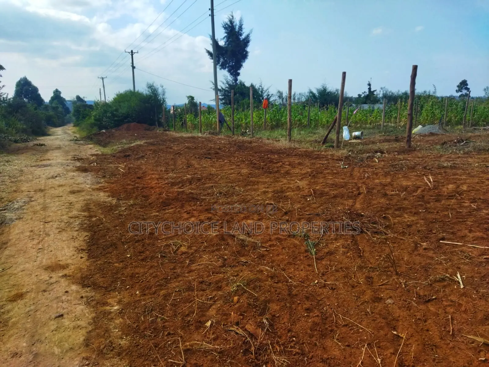 Invest in Nachu! Own 50x100 Land From Just