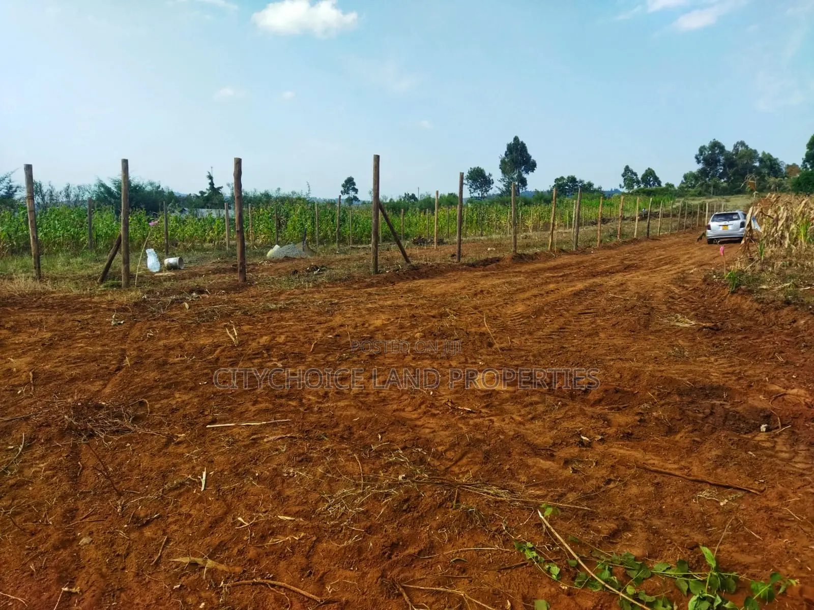 Invest in Nachu! Own 50x100 Land From Just
