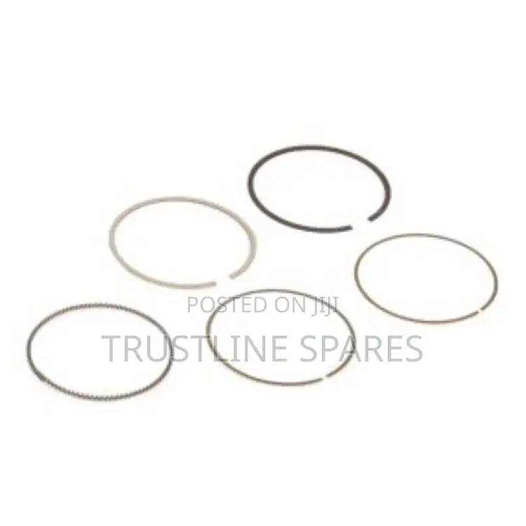 Vv and Audi High-Quality Piston Rings – Oem 06h198151b