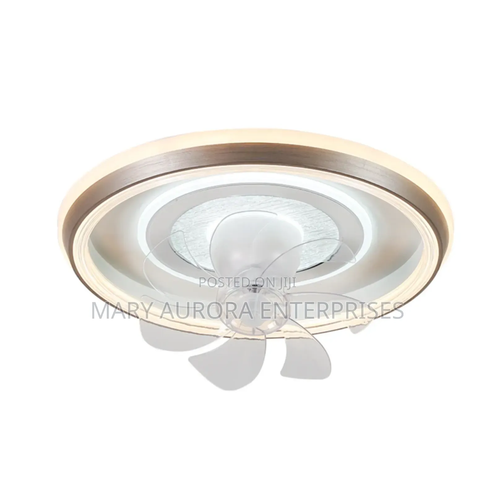 Ceiling Light With Fan