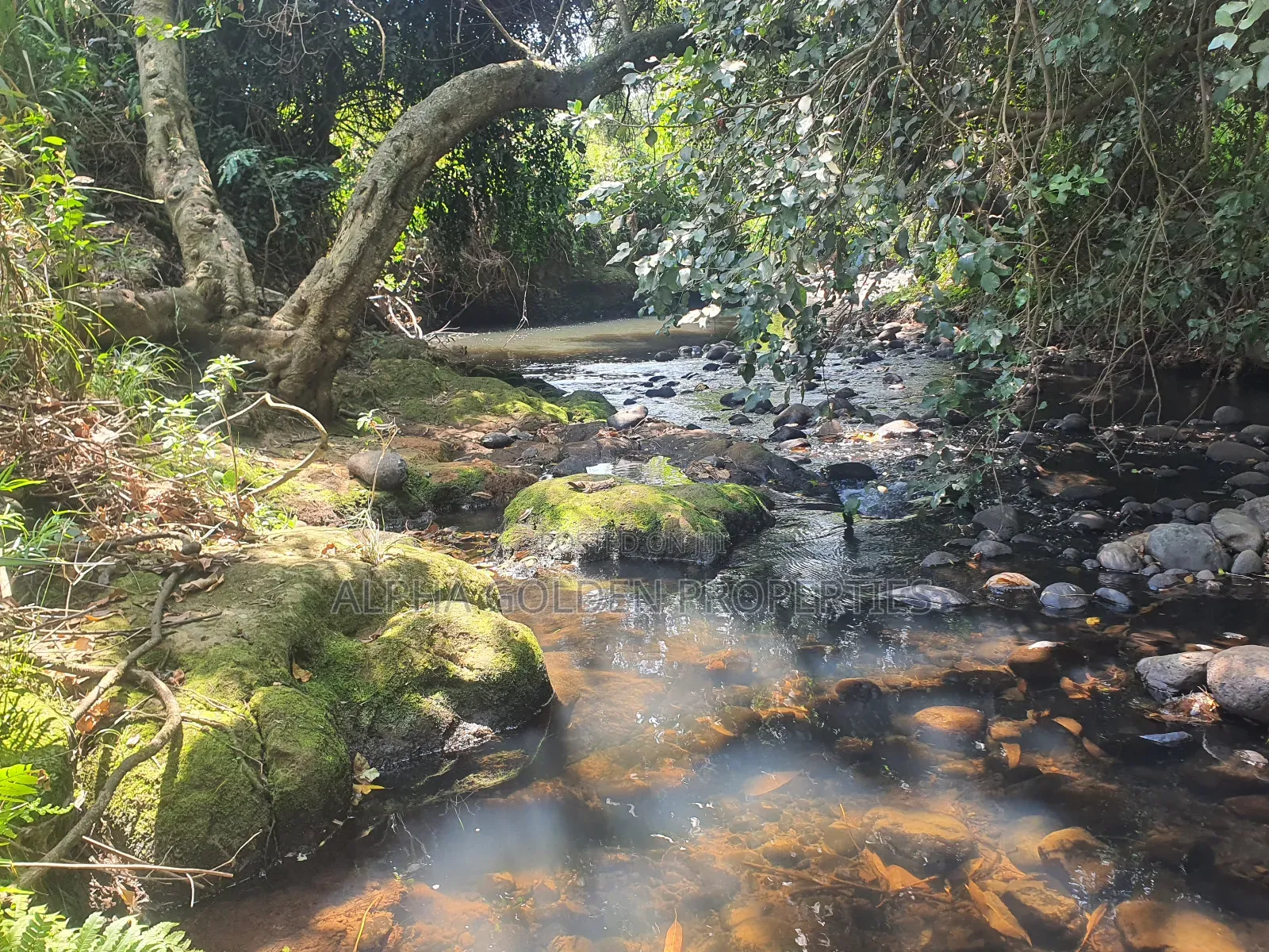 Narumoru 1 Acre With River Frontage