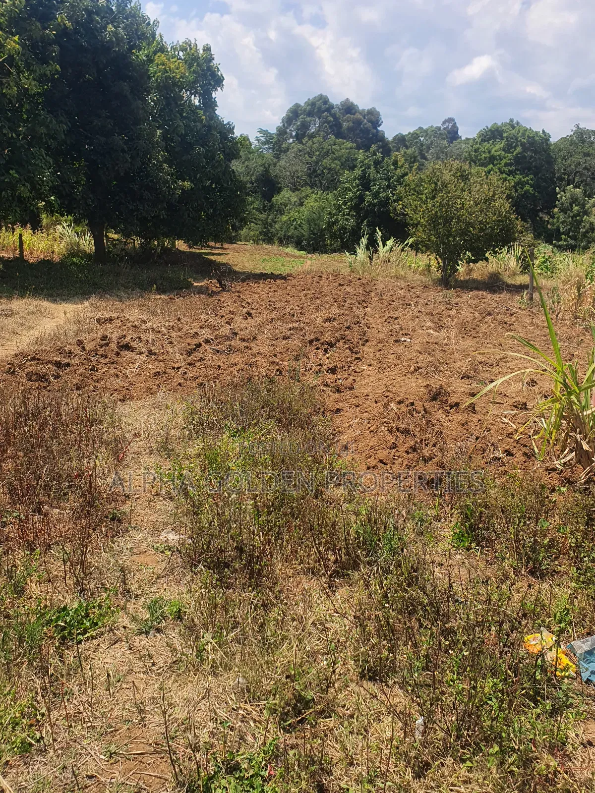Narumoru 1 Acre With River Frontage