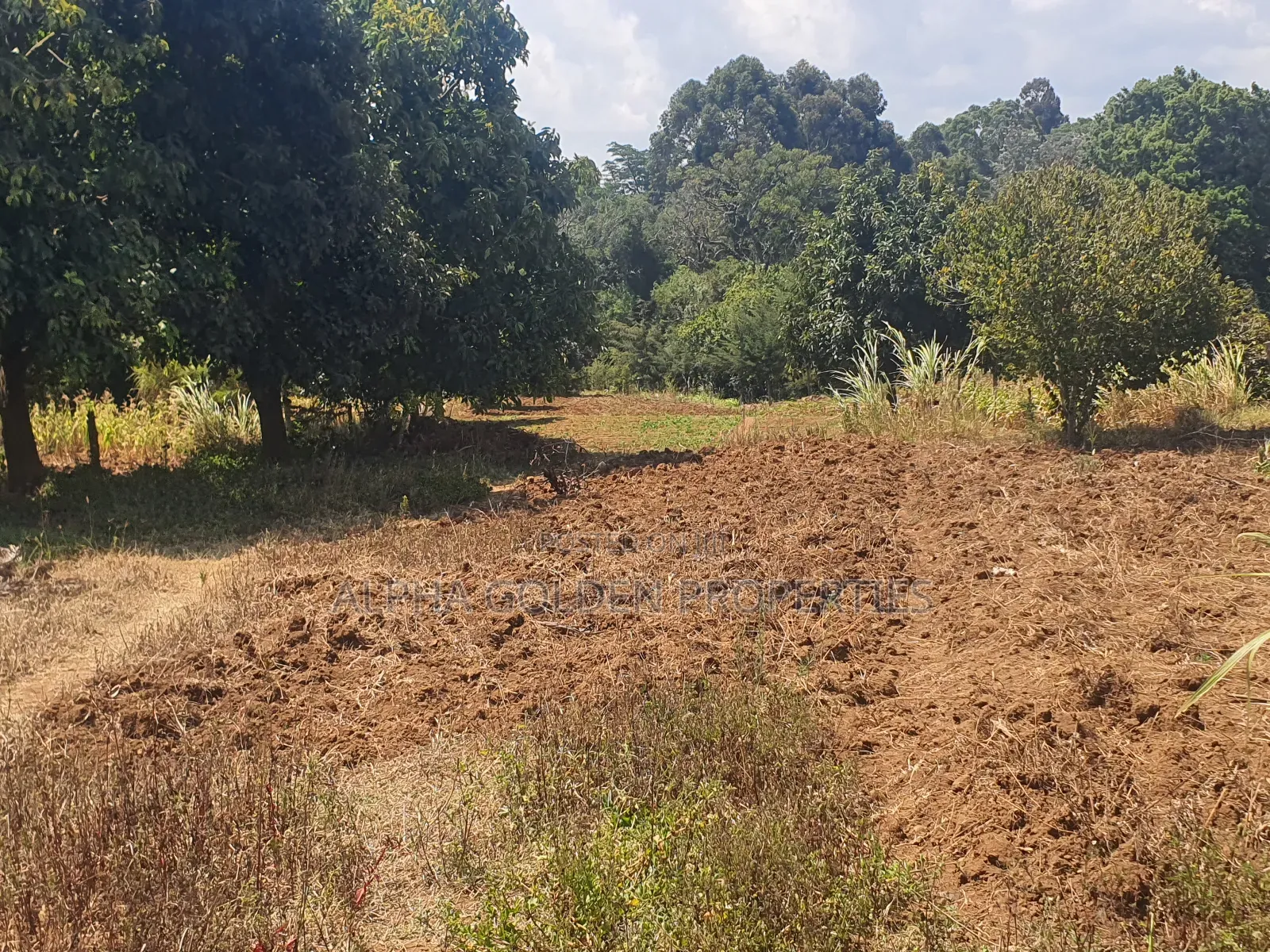 Narumoru 1 Acre With River Frontage