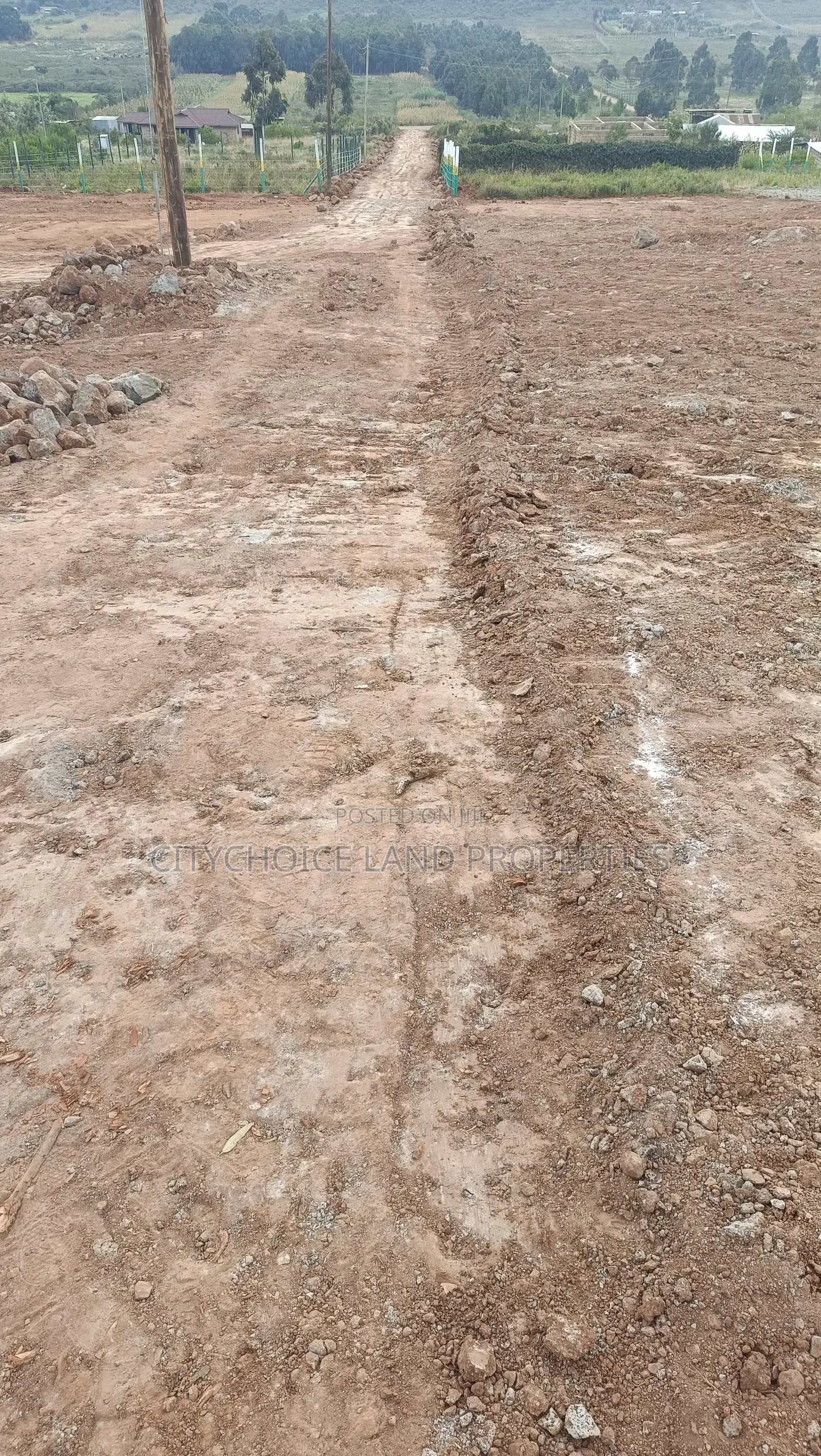 Golden Opportunity at Golden Estate – Phase 2