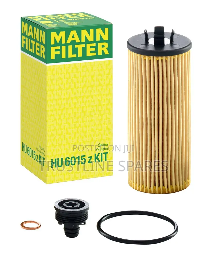 BMW X1 F48 Oil Filter Mann Hu6015z Kit Oe