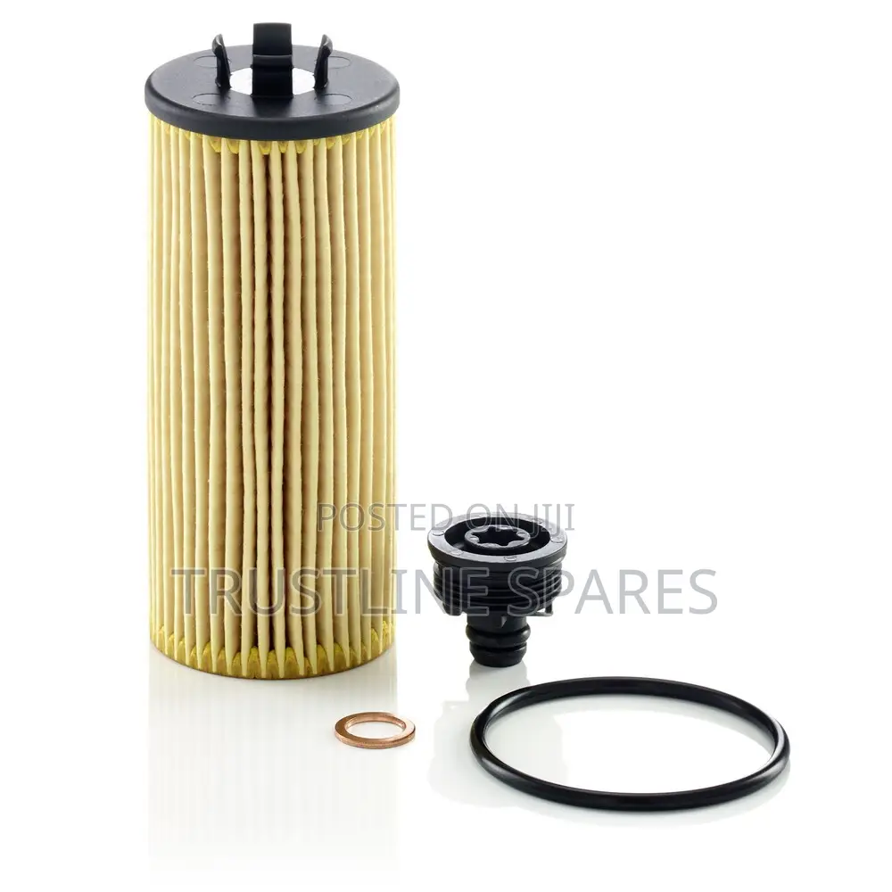 BMW X1 F48 Oil Filter Mann Hu6015z Kit Oe