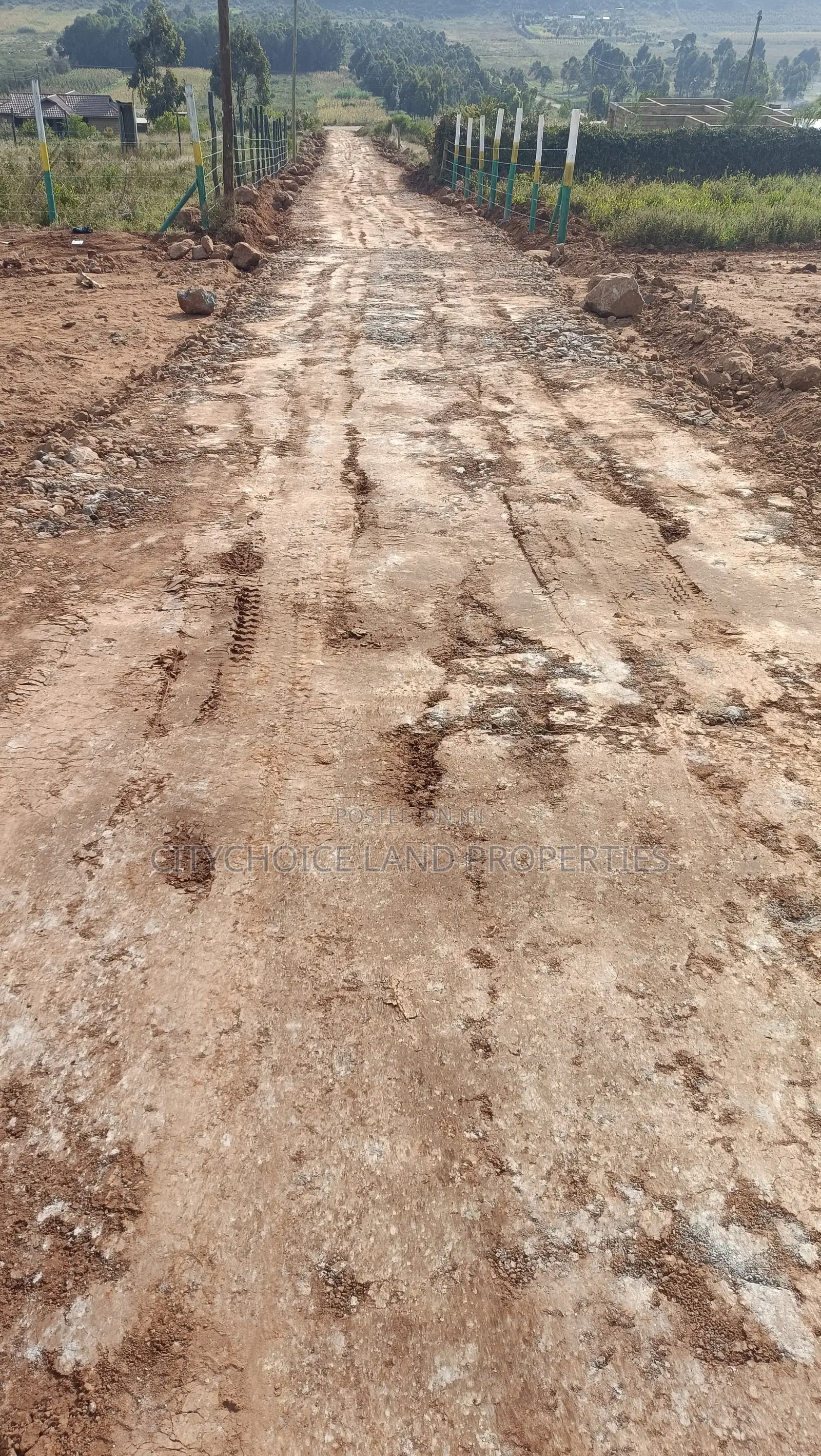Affordable Prime 50x100 Plots in Kikuyu Ready Title Deeds