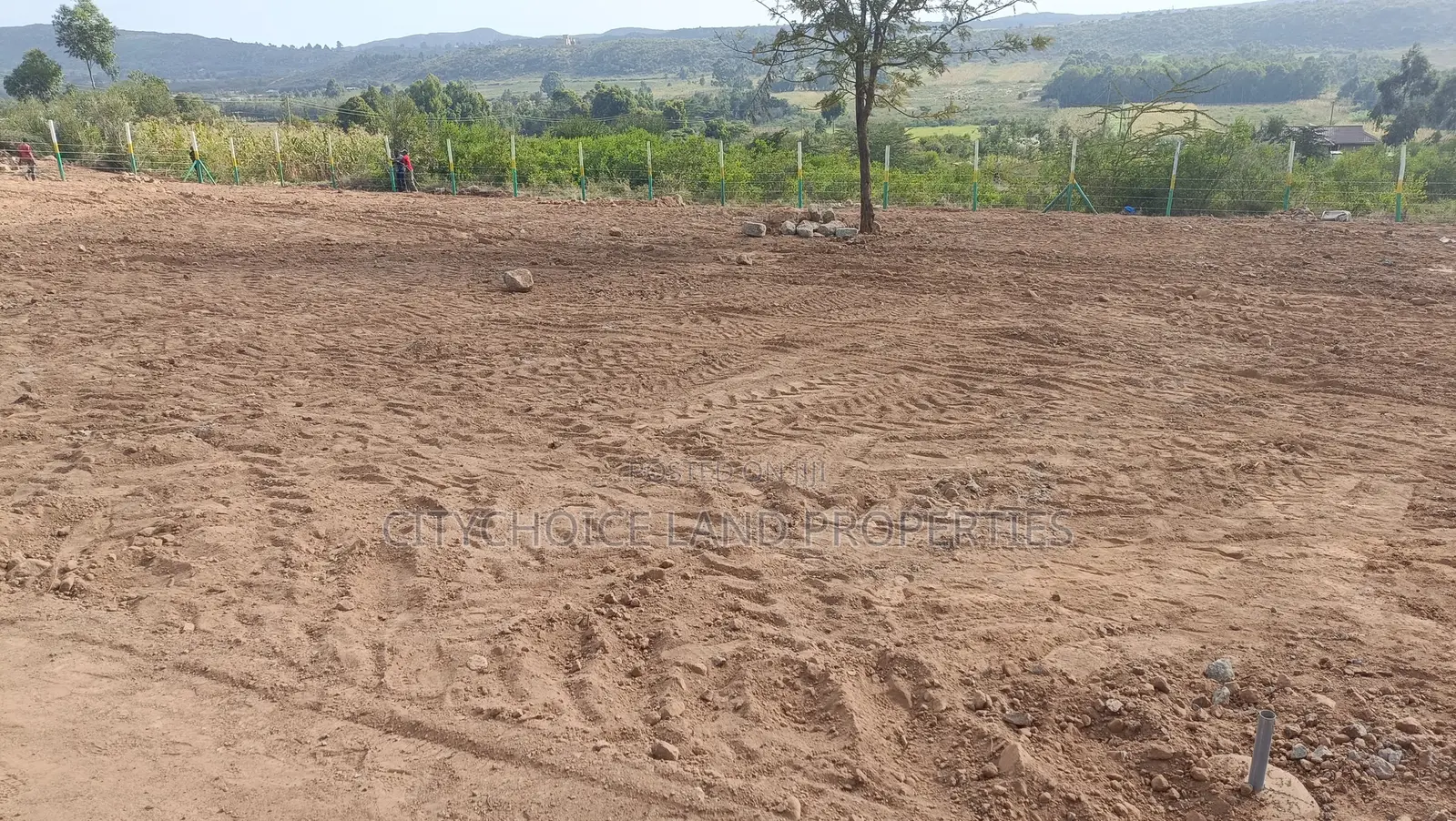 Prime Affordable 50x100 Plots in Kikuyu Secure Yours Today