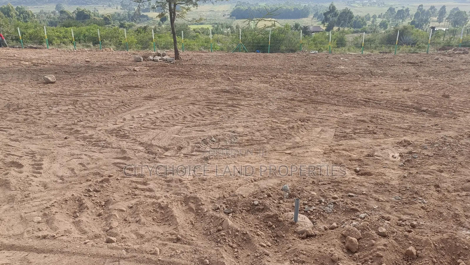 Prime Affordable 50x100 Plots in Kikuyu Secure Yours Today