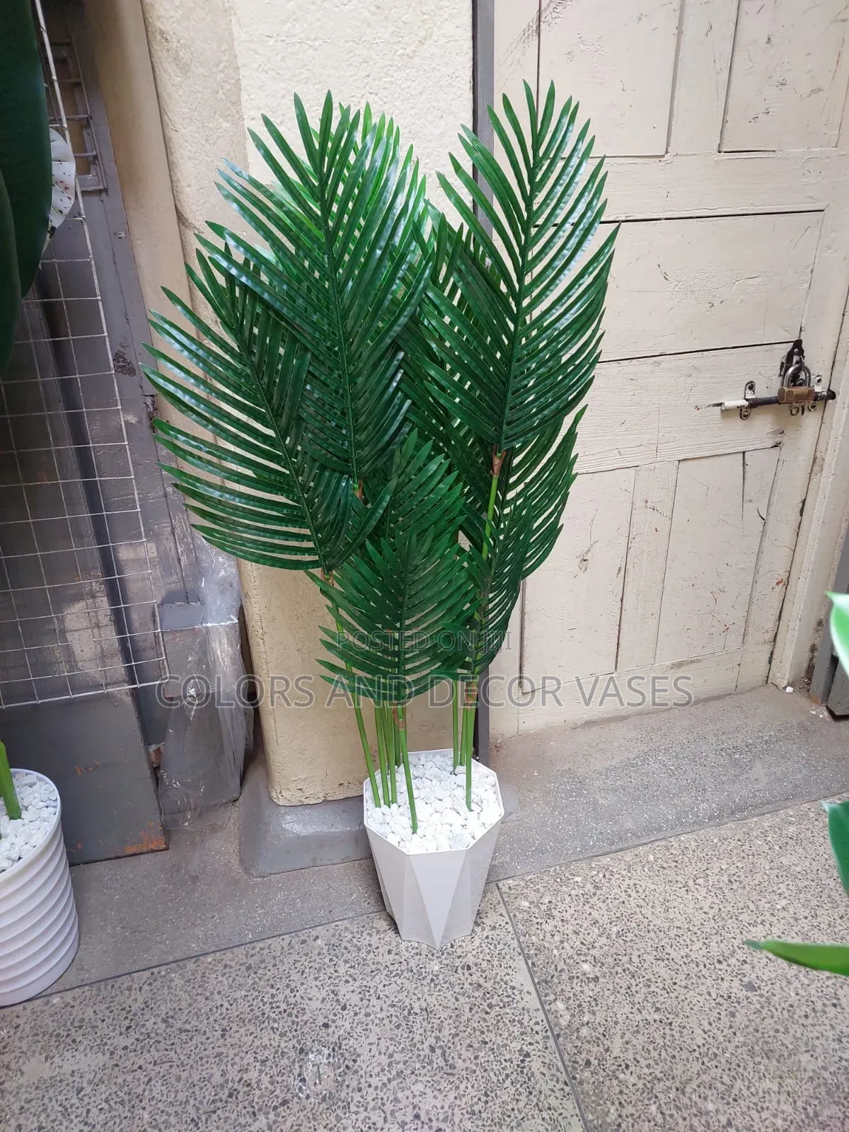 Unique Palm Leaves for Your Home Decor