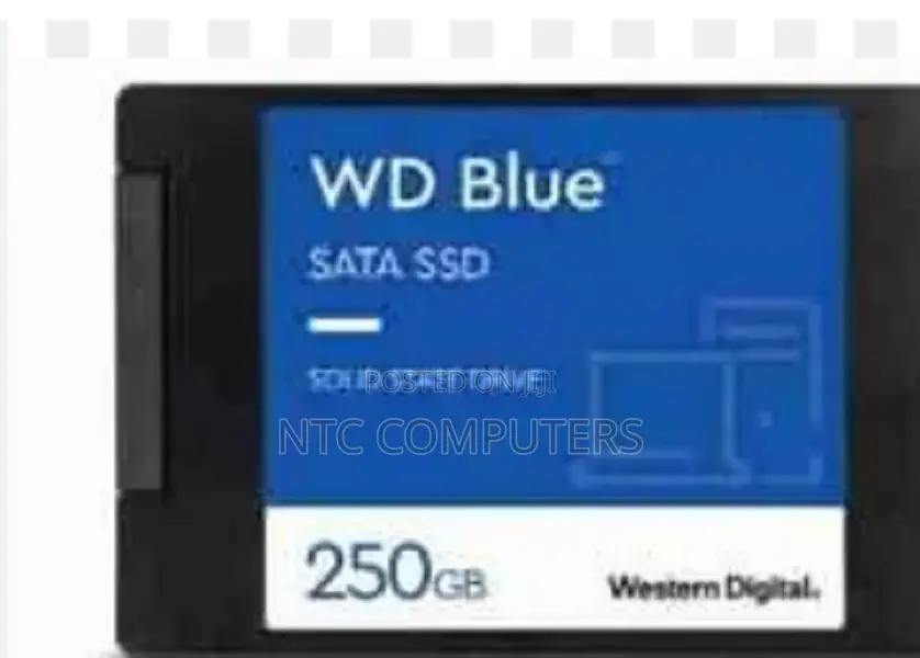 Wd Blue 2.5" Sata Internal SSD 250gb