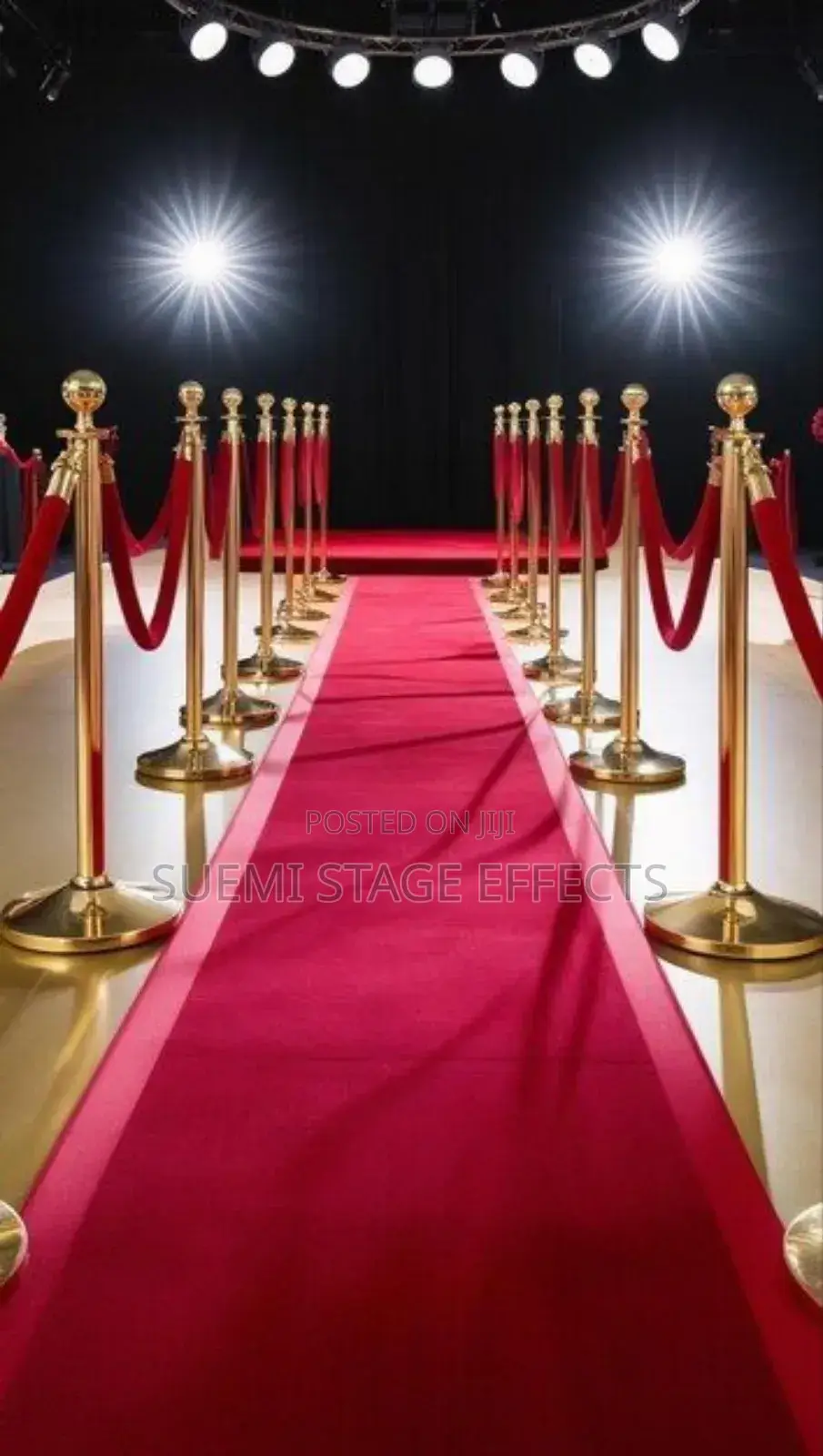 Vip Stanchions With Ropes – Hire for Events