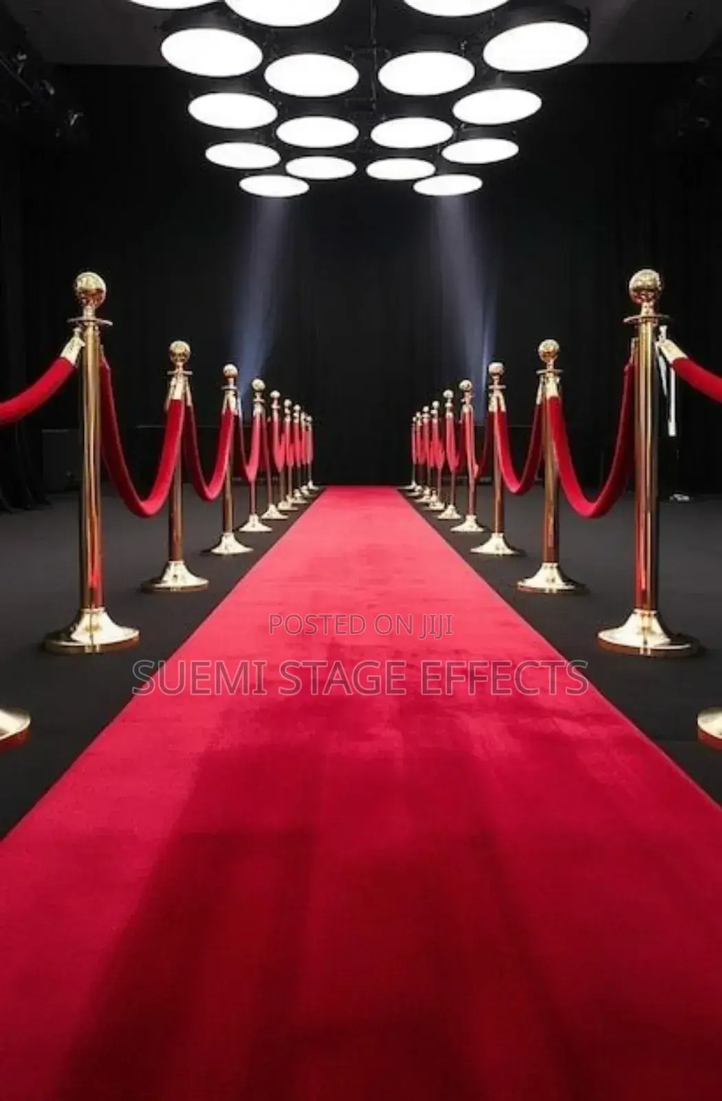 Vip Stanchions With Ropes – Hire for Events