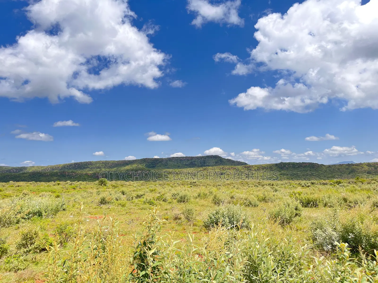 Affordable Plots for Sale in Nachu – Only KSH 