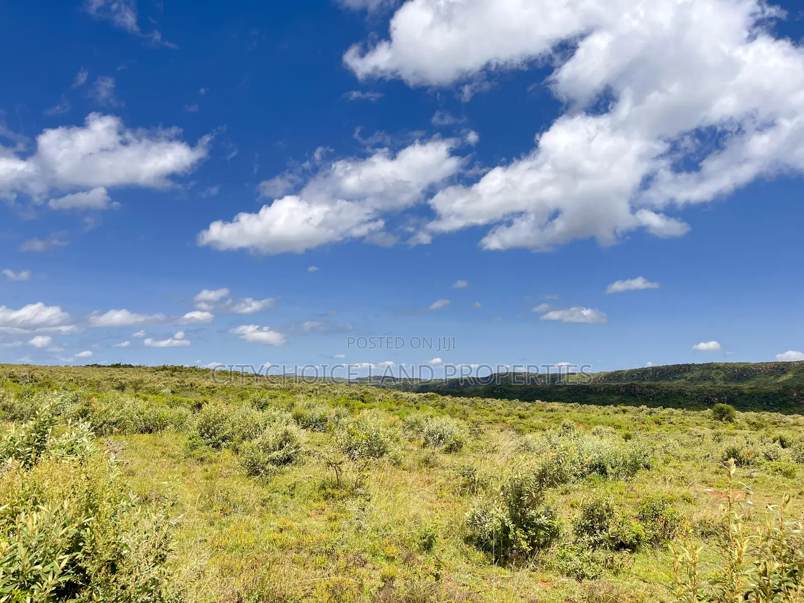 Affordable Plots for Sale in Nachu – Only KSH 