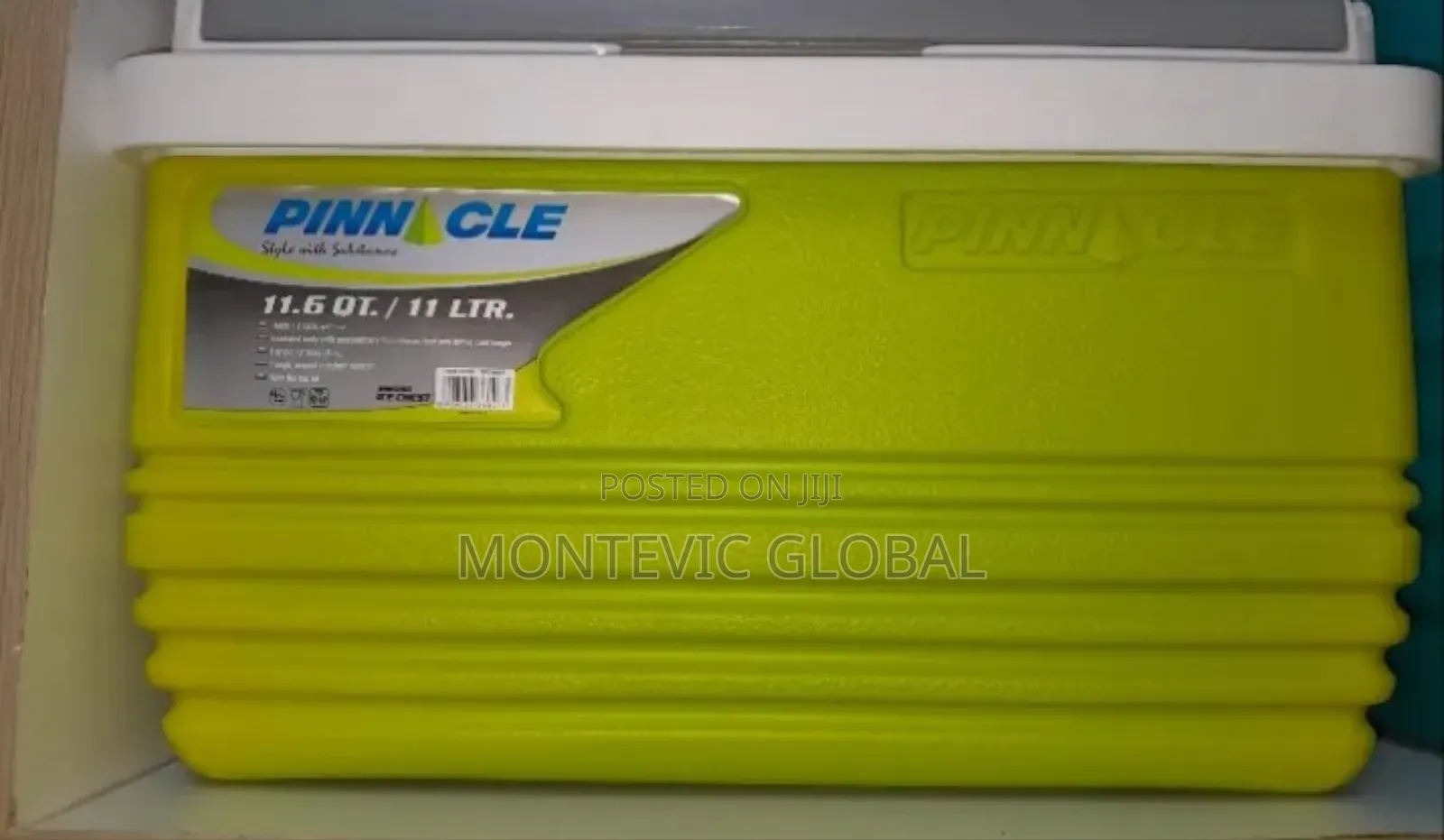 Pinnacle 11litres Cooler Box