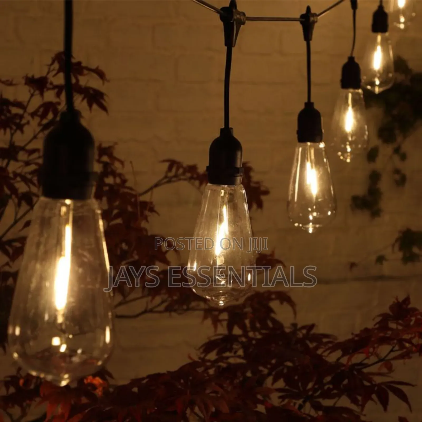 50m Outdoor Festoon Lights (50 Bulbs)